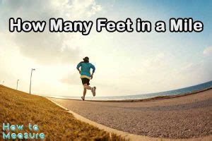 Mile Distance Feet: A Comprehensive Guide to Measuring Miles