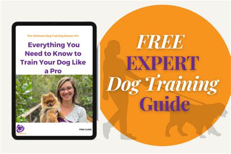 Miles 42: The Ultimate Guide for Reaching Your Dog Training Goals