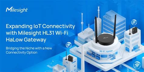 Milesight: A Leader in Wireless Connectivity