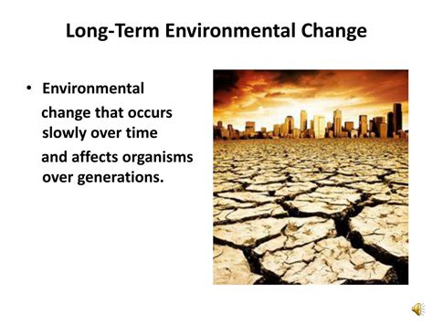 Millennium Scale: Unraveling the Intricacies of Long-Term Environmental Change