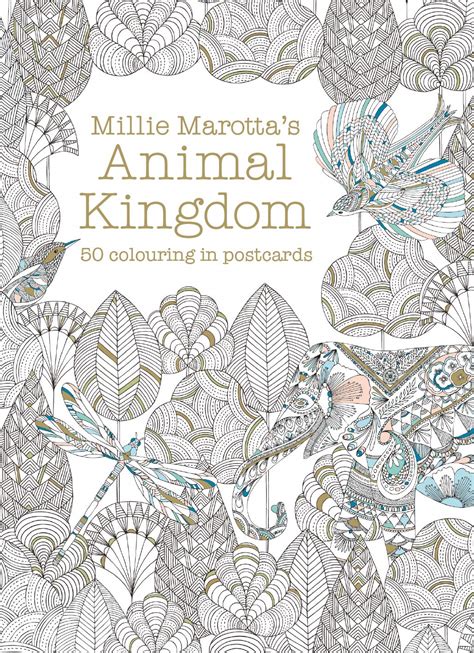 Millie Marotta s Animal Kingdom Postcard Box 50 beautiful cards for colouring in Colouring Books Reader