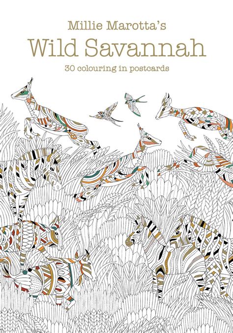 Millie Marotta s Wild Savannah Postcard Book 30 Postcards A Millie Marotta Adult Coloring Book Kindle Editon