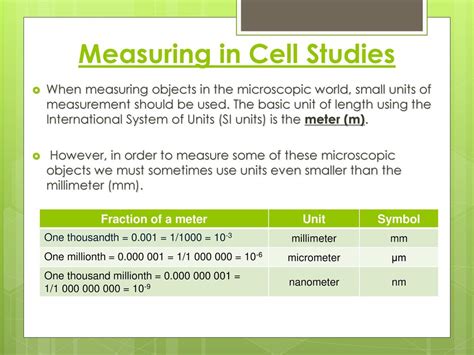 Millimeters: Measuring the Microscopic World