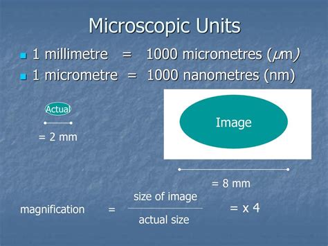 Millimetre to Micrometre: Converting the Microscopic World