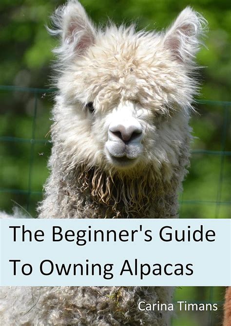 Mimi Alpacas: The Ultimate Guide to Owning, Raising, and Enjoying These Captivating Creatures