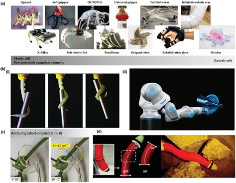 Mimicry: A Blueprint for Advanced Technologies