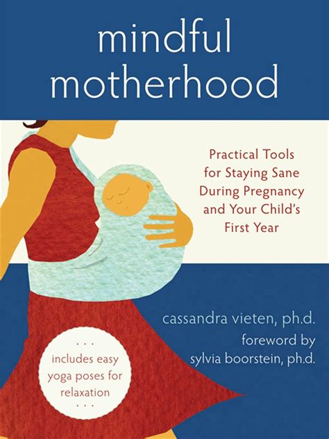 Mindful Motherhood Practical Tools for Staying Sane During Pregnancy and Your Child s First Year Reader