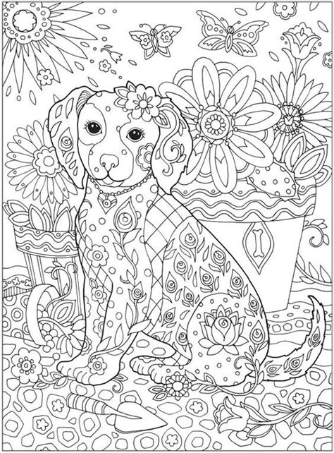 Mindfulness Animals and Nature Design Coloring Books Adult Coloring Books Doc