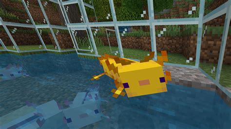 Minecraft Axolotl Shirt: A Guide to Crafting, Styles, and More