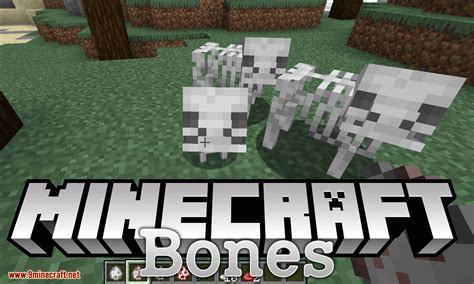 Minecraft Bones: Embark on an Osseous Adventure