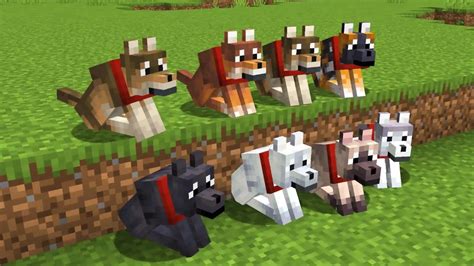 Minecraft Dog Update: A Comprehensive Guide to Everything Dogs in Minecraft