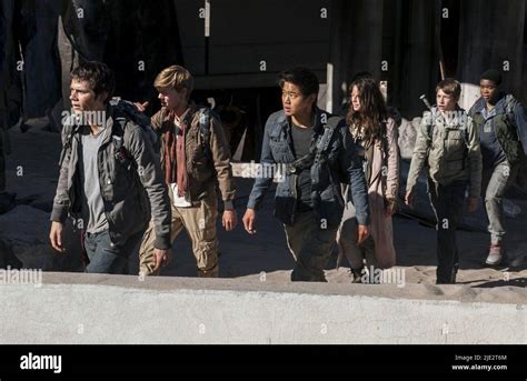 Minho's Journey through the Scorch Trials: A Path Filled with Peril and Resilience