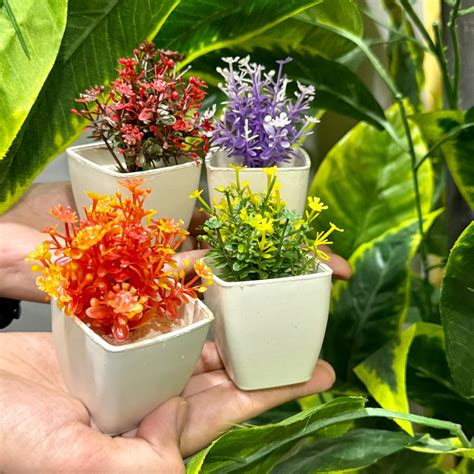 Miniature Planters: