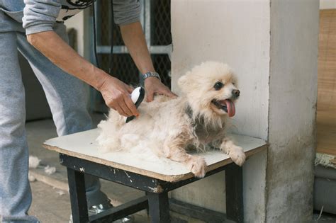 Minimize Shedding: