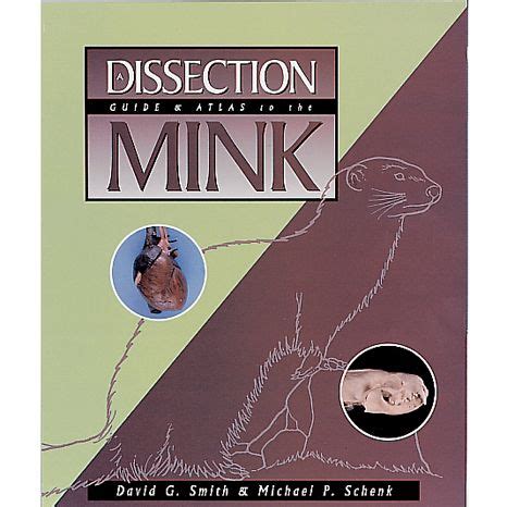 Mink Dissection Student Guide Answers Doc