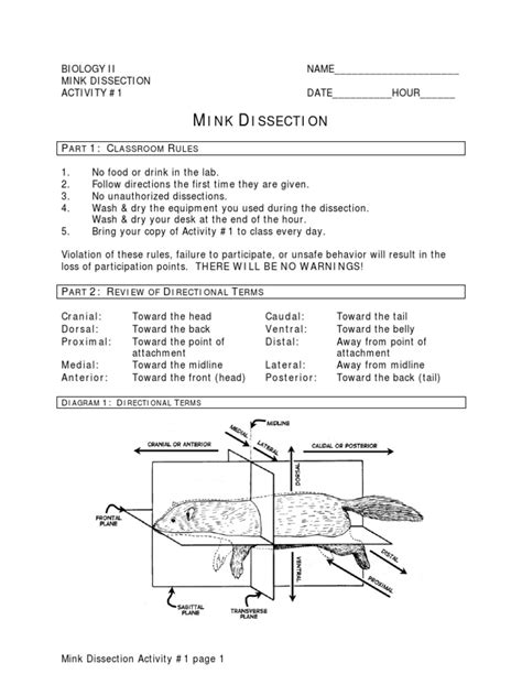 Mink Dissection Student Guide Answers Doc