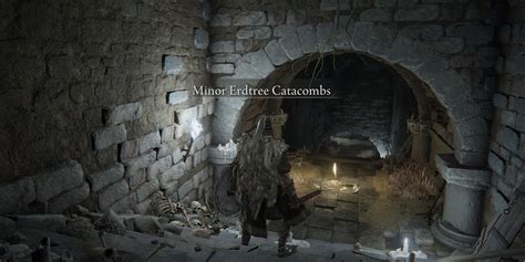 Minor.Erdtree Catacombs: Unveiling the Uncharted Depths