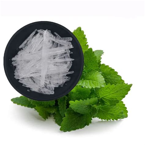 Minty Menthol: A Refreshing Sensation That Empowers Your Health and Well-being