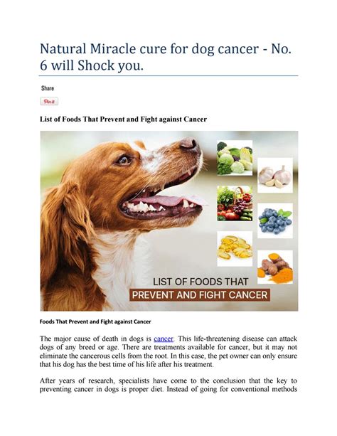 Miracle Cure for Dog Cancer: A Comprehensive Guide to 4021+ Treatment Options