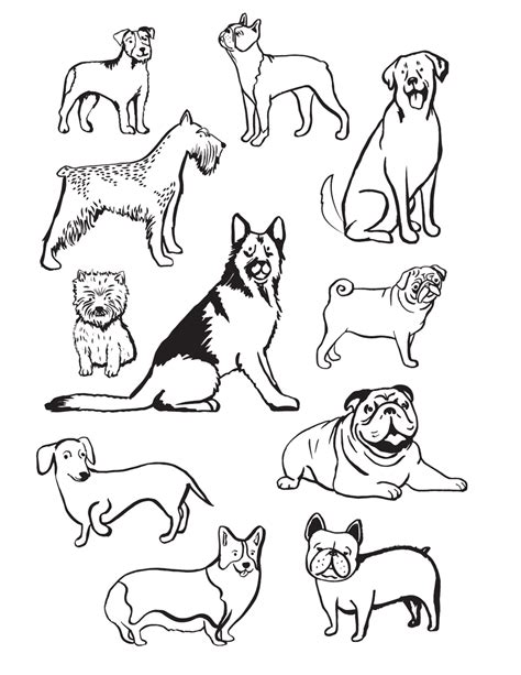 Miracle Dog Breeds coloring book Design for Dog lover siberian husky Pug Labrador Beagle Poodle Pitbull puppy and Friend Kindle Editon