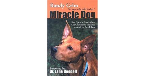Miracle Dog How Quentin Survived the Gas Chamber to Speak for Animals on Death Row PDF