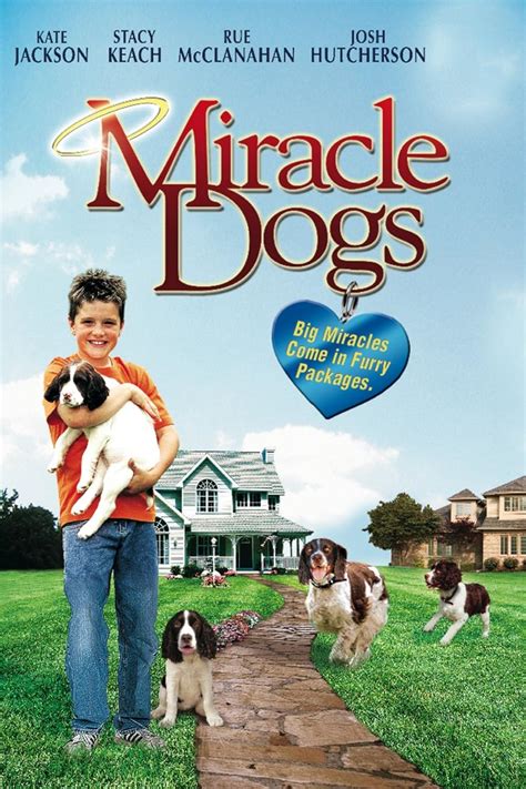 Miracle dogs