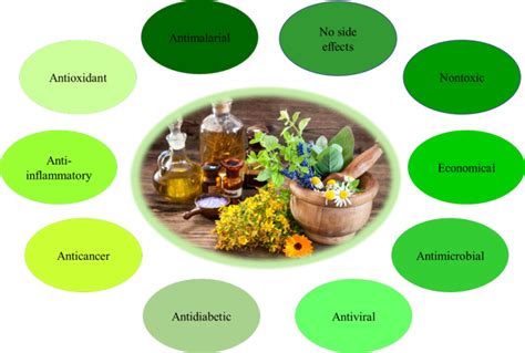 Mirra Belcia: A Comprehensive Guide to Its Medicinal Properties and Therapeutic Applications