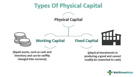 Misconception 1: Capital Goods Are Only Physical Assets