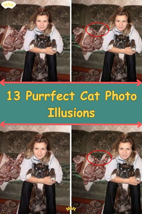 Misprettykitty: The Truth Behind the Purrfect Illusion