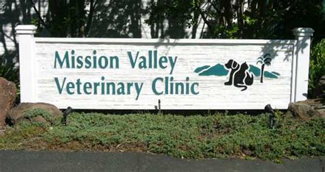 Mission Valley Pet Clinic: Your One-Stop Destination for Exceptional Pet Care