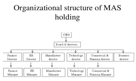 Mission and Functions of MAS