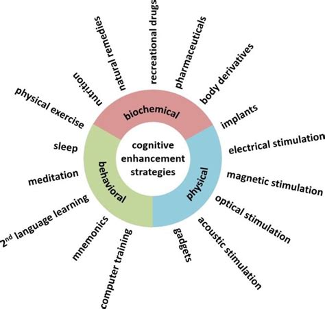 Mito Yamamoto: A Pioneer in Cognitive Enhancement and Brain Health