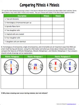 Mitosis Cell Division Study Guide 8 Answers Reader