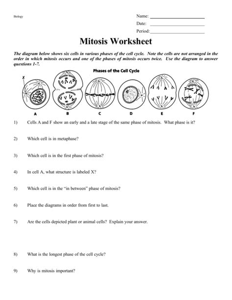 Mitosis Review Worksheet Answers Epub