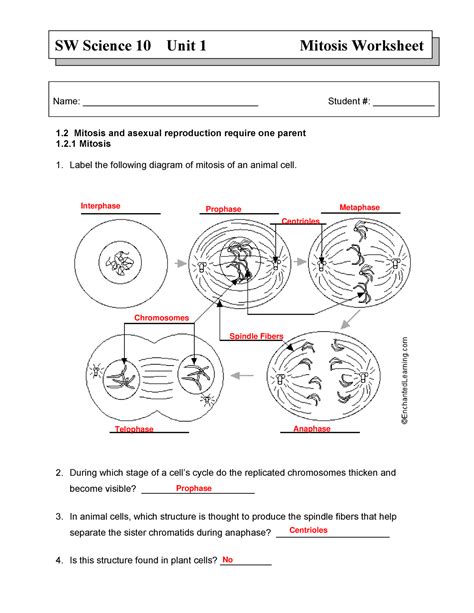 Mitosis Tutorial Answer Key Epub