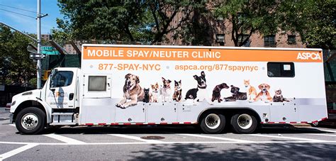 Mobile Spay and Neuter Clinic: A Vital Service for 25 Million Cats and Dogs