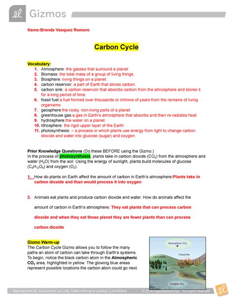 Model 2 the carbon cycle pogil answers Ebook PDF