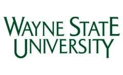 Model Answer Wayne State University Epub