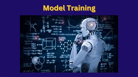 Model building and training: