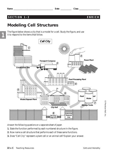 Modeling Cell Structures Answer Key PDF