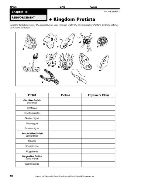 Modern Biology Chapter23 Test Protists Answers Reader