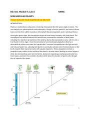 Modern Biology Nonvascular Plants Answers Doc