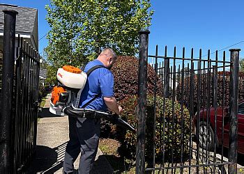 Modern Exterminating Columbia South Carolina: A Comprehensive Guide to Pest Management