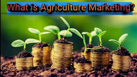 Modern Trends in Agricultural Marketing 1st Edition PDF