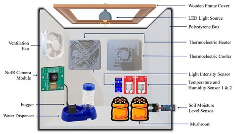 Module 1: The Cyber Chamber