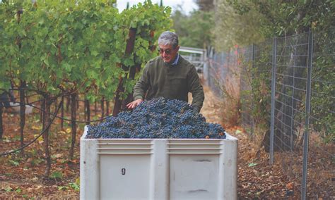 Moises Gonzalez Dominguez Napa: A Legacy of Innovation in the Napa Valley