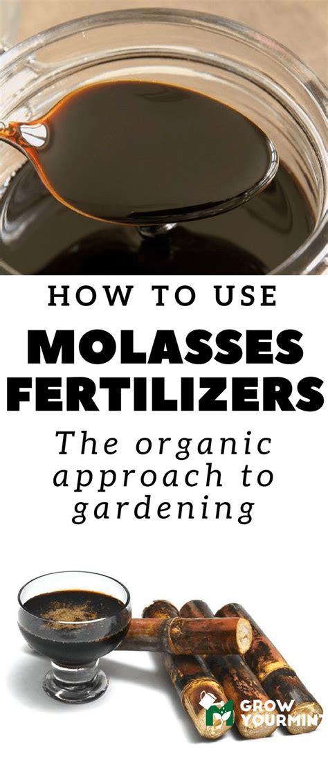 Molasses Fertilizer: The Marvelous Liquid Gold for Your Garden (in 6000 Words)