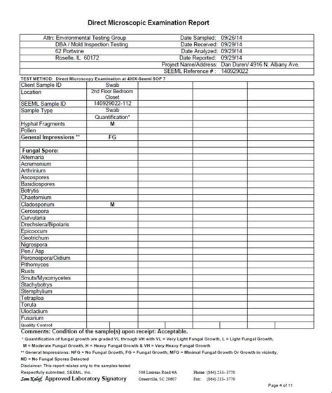 Mold Inspection Report Template