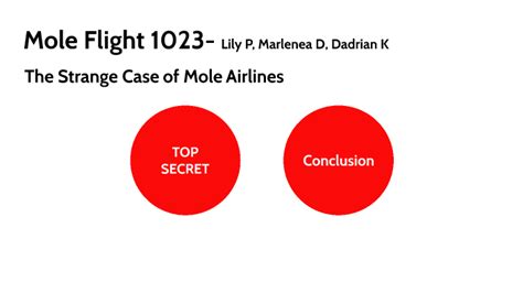 Mole Flight 1023 Answers Doc