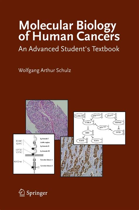 Molecular Biology of Human Cancers An Advanced Student's Textbook Doc